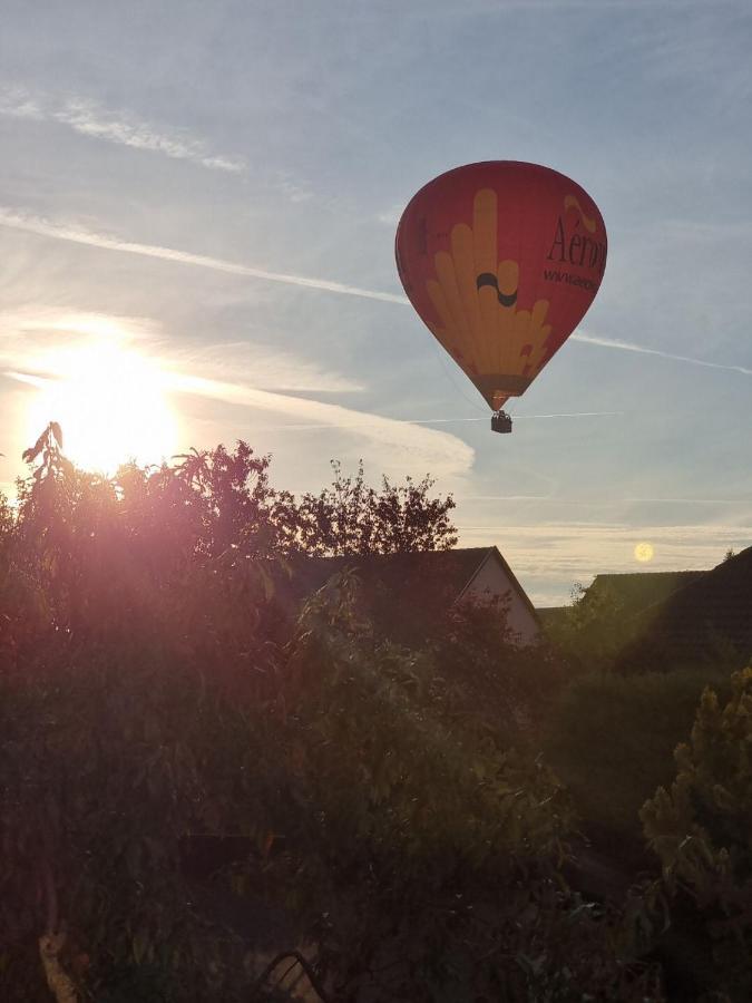 Aux Portes De Colmar Evasion Sur La Route Des Vins , A 5 Minutes De Colmar Ингерсайм Экстерьер фото