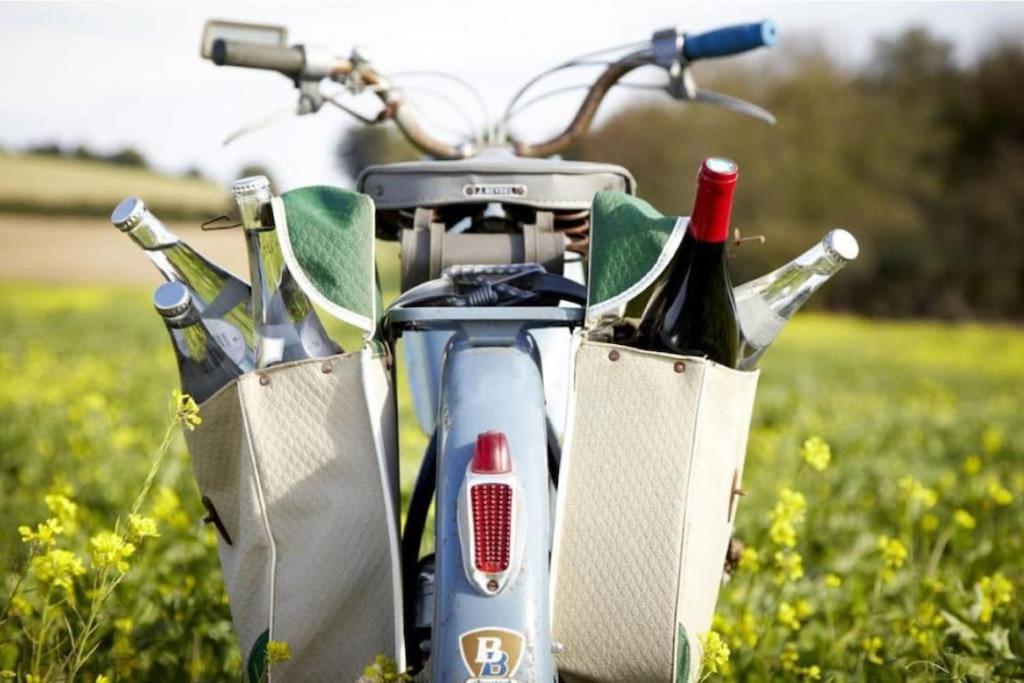 Aux Portes De Colmar Evasion Sur La Route Des Vins , A 5 Minutes De Colmar Ингерсайм Экстерьер фото