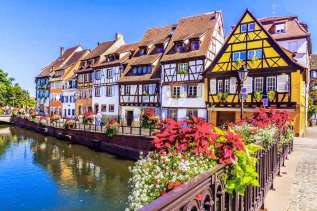Aux Portes De Colmar Evasion Sur La Route Des Vins , A 5 Minutes De Colmar Ингерсайм Экстерьер фото