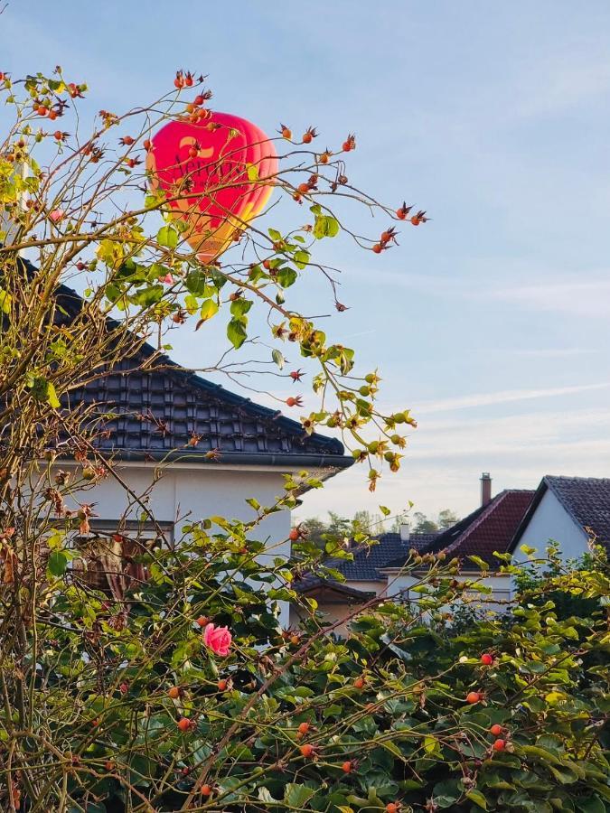 Aux Portes De Colmar Evasion Sur La Route Des Vins , A 5 Minutes De Colmar Ингерсайм Экстерьер фото